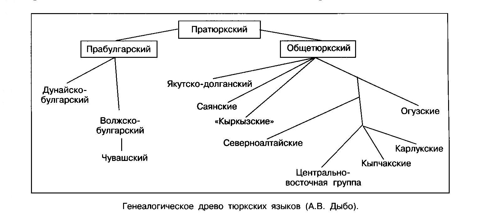 Картинки по запросу древо тюркских языков