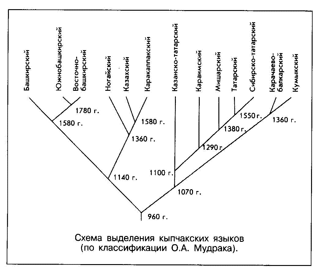 "Схема выделения кыпчакских языков (по классификации О.А. Мудрака)."